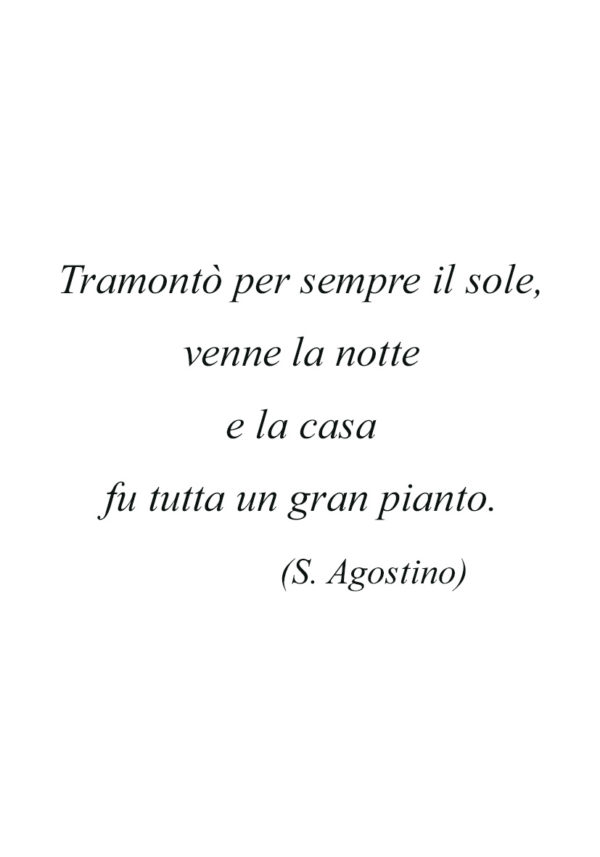 Dedica 13