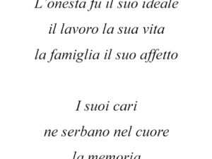Dedica 14