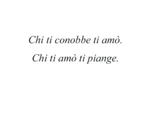 Dedica 19