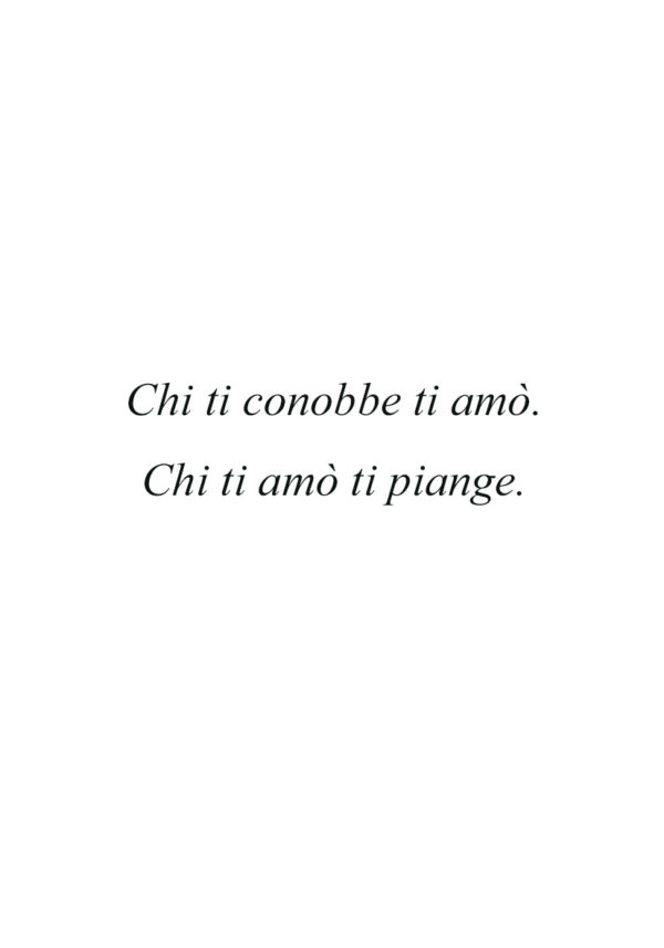 Dedica 19