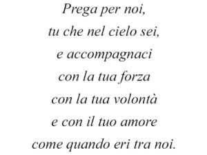 Dedica 23