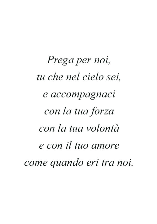 Dedica 23