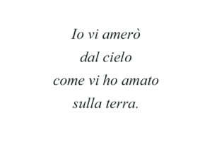 Dedica 24