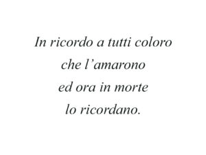 Dedica 26