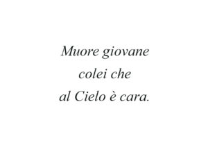 Dedica 27