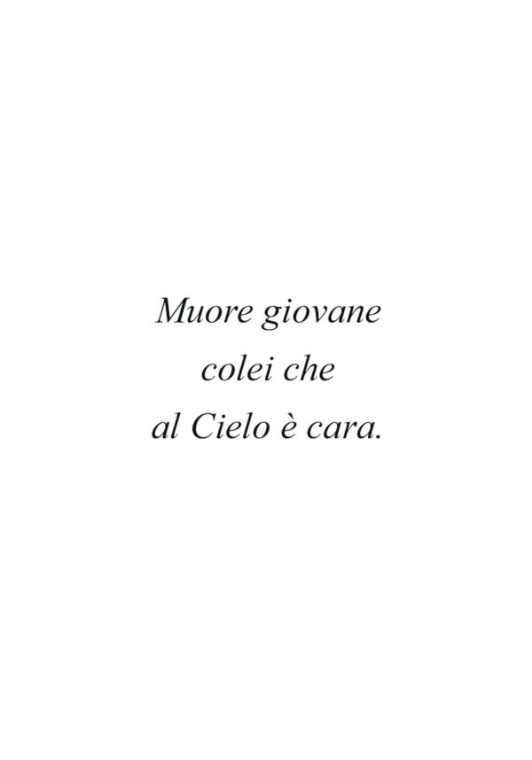 Dedica 27