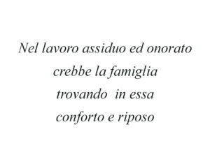 Dedica 28
