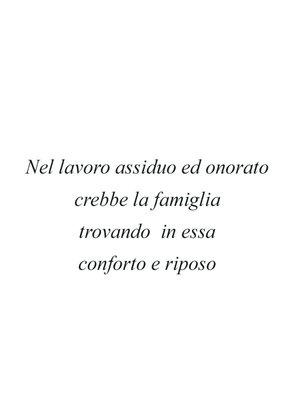 Dedica 28