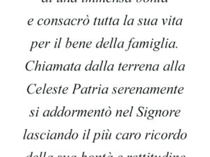 Dedica 29
