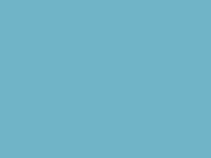 Fondo 37