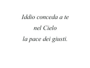 Dedica 38