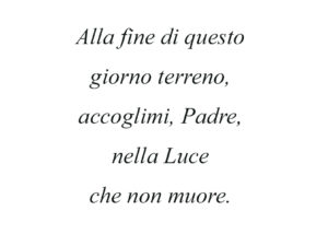 Dedica 41