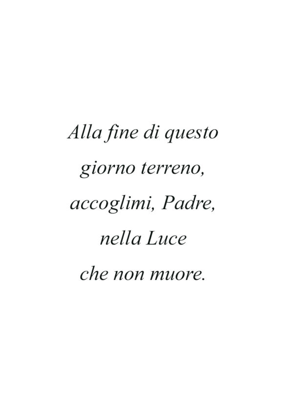 Dedica 41