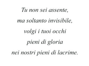 Dedica 42