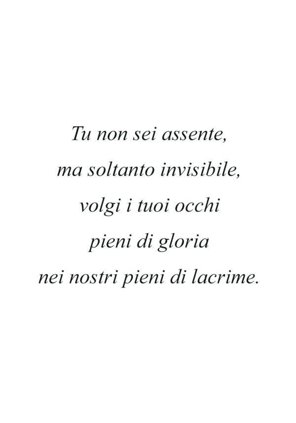 Dedica 42