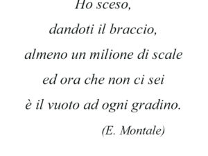 Dedica 46