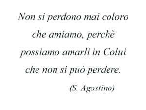 Dedica 47