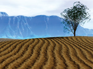 Fondo 50