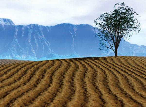 Fondo 50